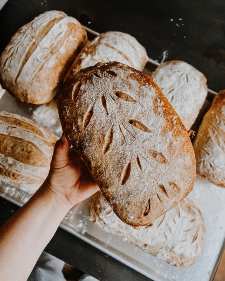 Beginner Sourdough Tools: The Micro Baker’s Go-To Guide